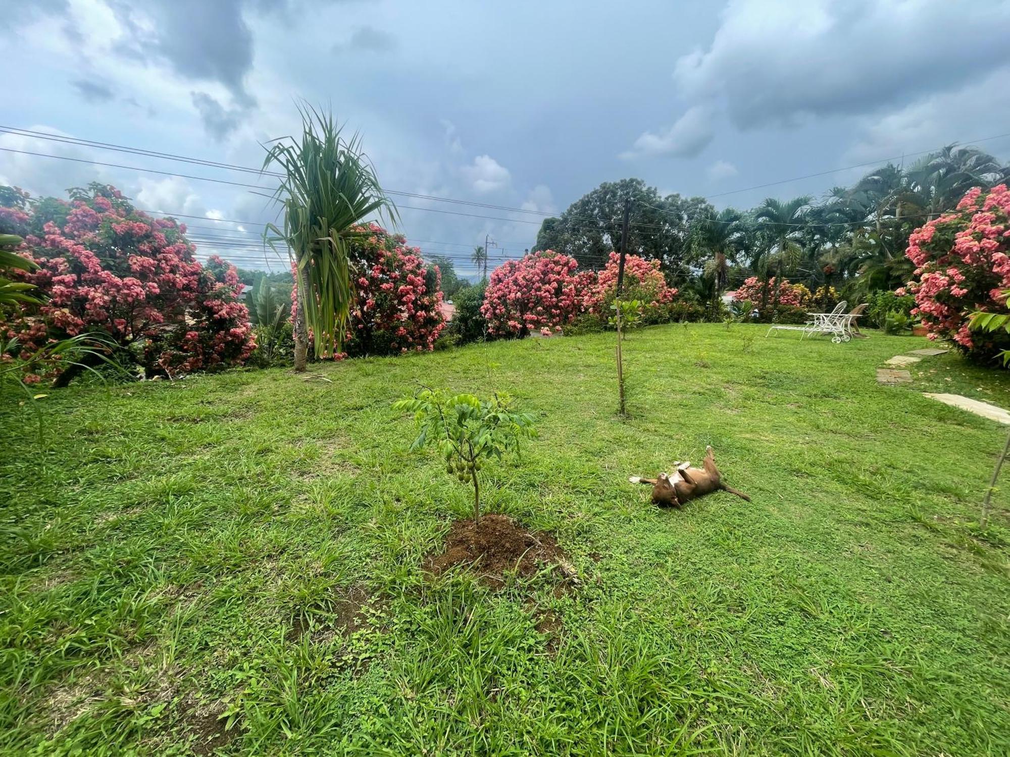 Hotel Tierra De Volcanes La Fortuna Luaran gambar
